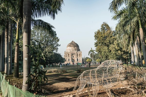 Où pratiquer le snorkeling au milieu des raies manta à Hawaii ?